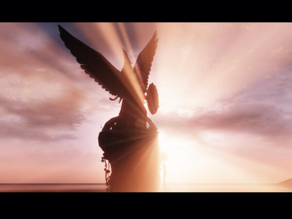 Winged sunset