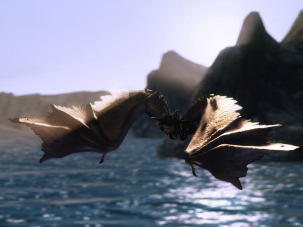 ScreenShot5