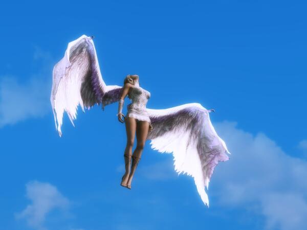 ScreenShot6