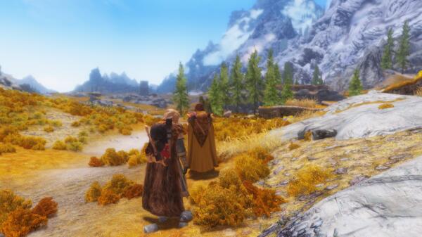 Skyrim (new - 28. Разное)