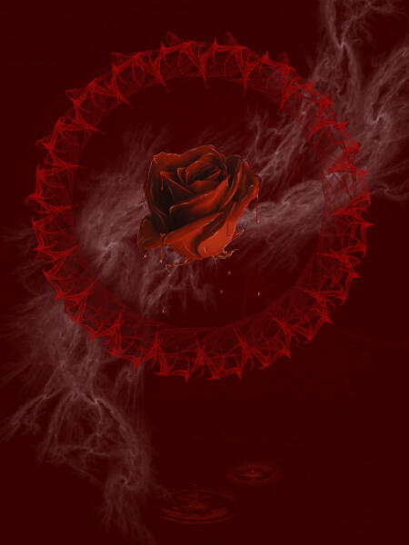 blood rose
