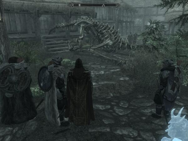 dragonRiP
