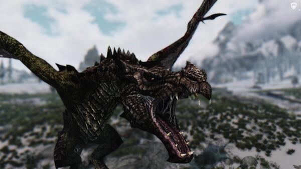 Изловила я злого Dragona