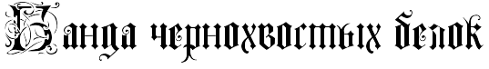Банда чернохвостых белок.png