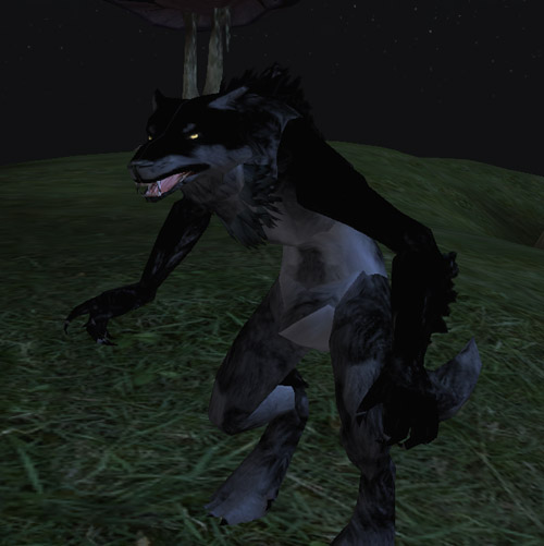 BlackWW.jpg