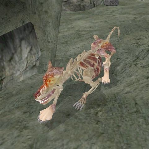 Bonewolf.jpg