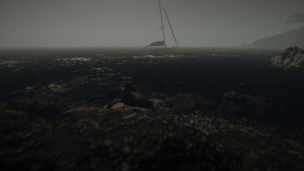 DeadShark.jpg