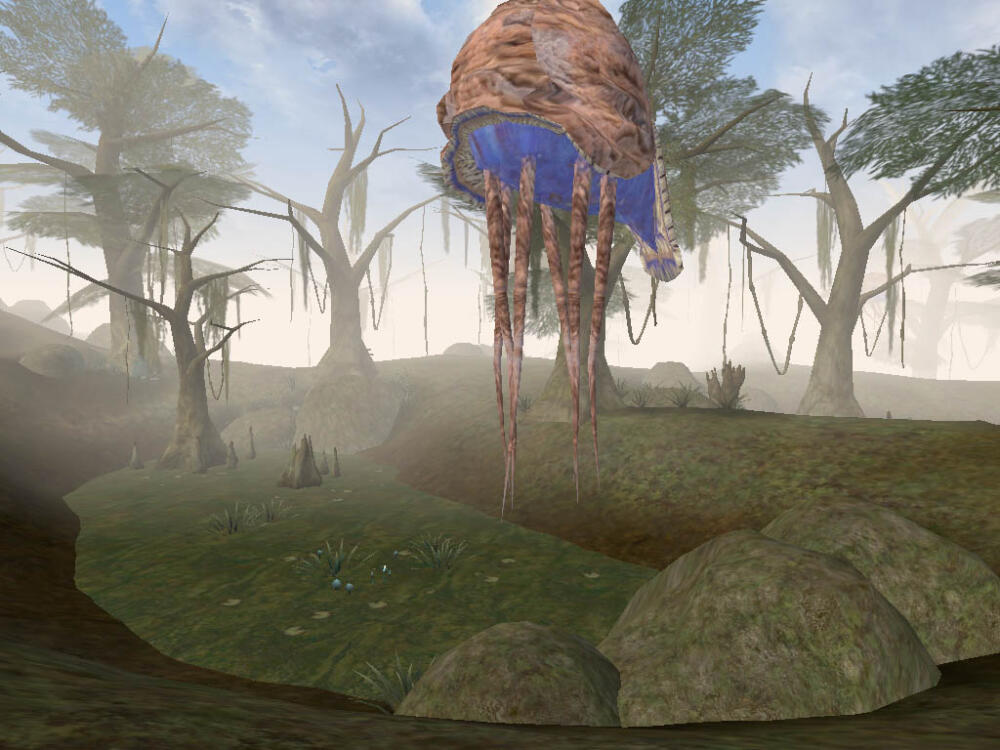 MW-place-Bitter_Coast.jpg