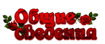 общее.png