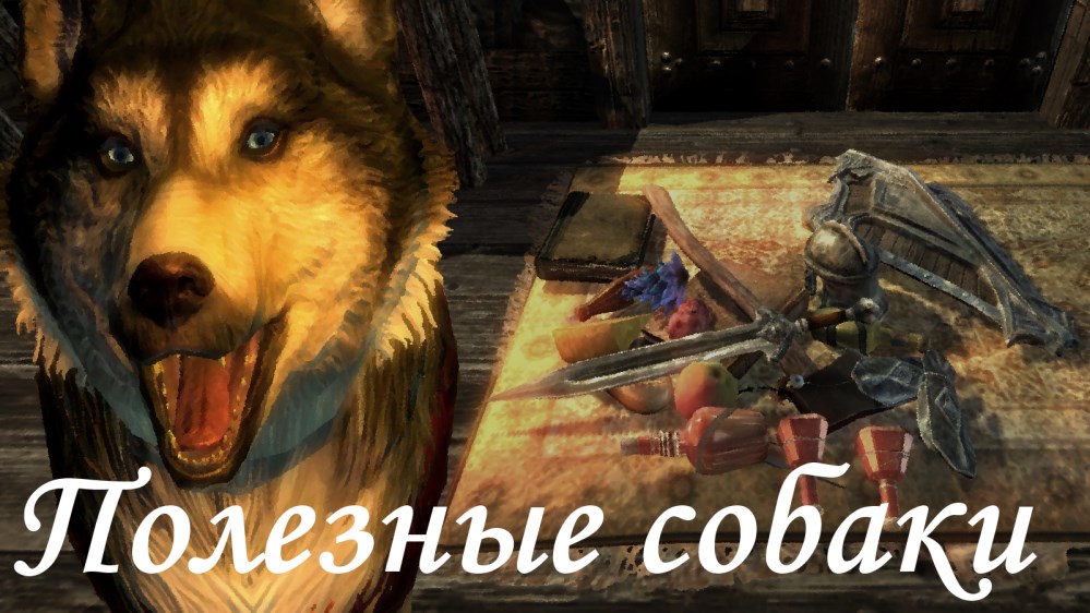 Полезные собаки