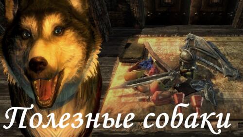 Подробнее о ""