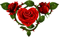 roza2.png