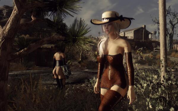 FalloutNV 2015 03 18 17 07 15 87