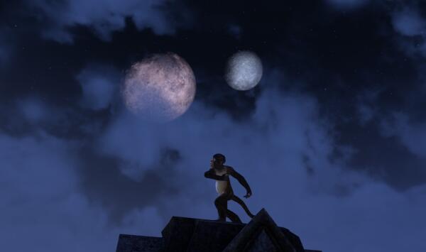 Monkey dance under moons