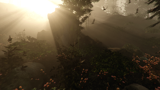 TheForest-Caves2.png