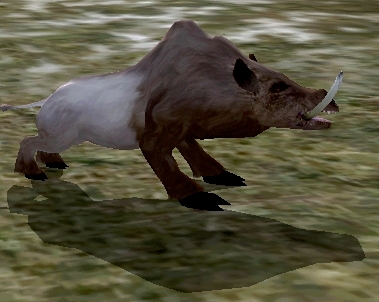 Tusked_Bristleback.jpg