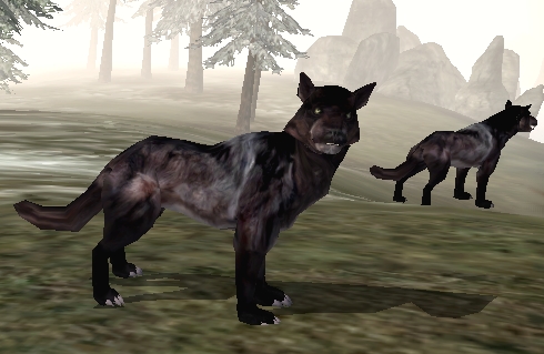 Wolf_Bloodmoon.jpg