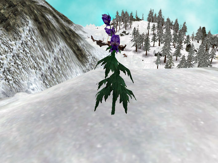 bm-flora-wolfsbane.jpg