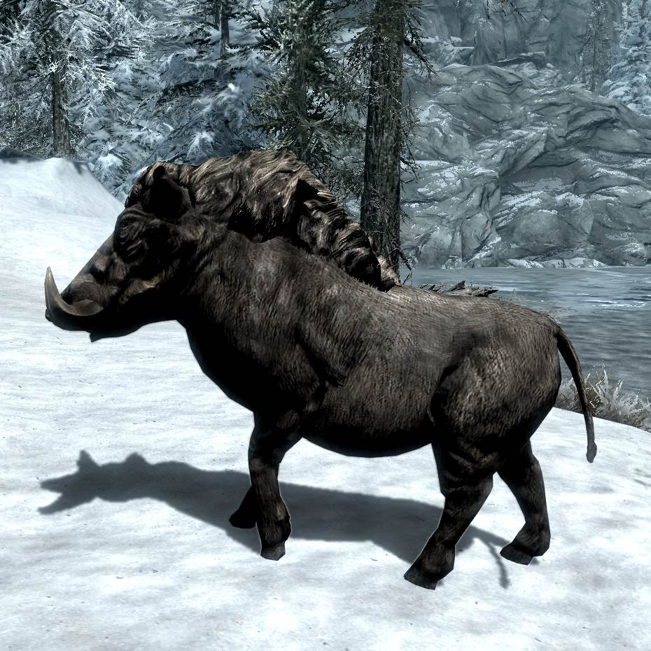 db-creature-bilgemuck.jpg