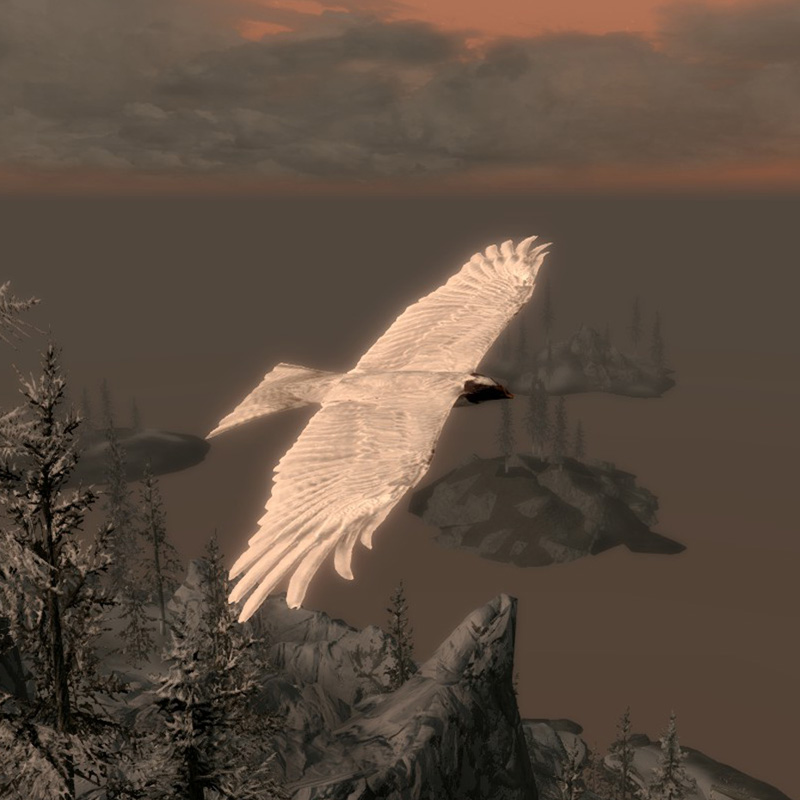 db-creature-felsaad_tern.jpg