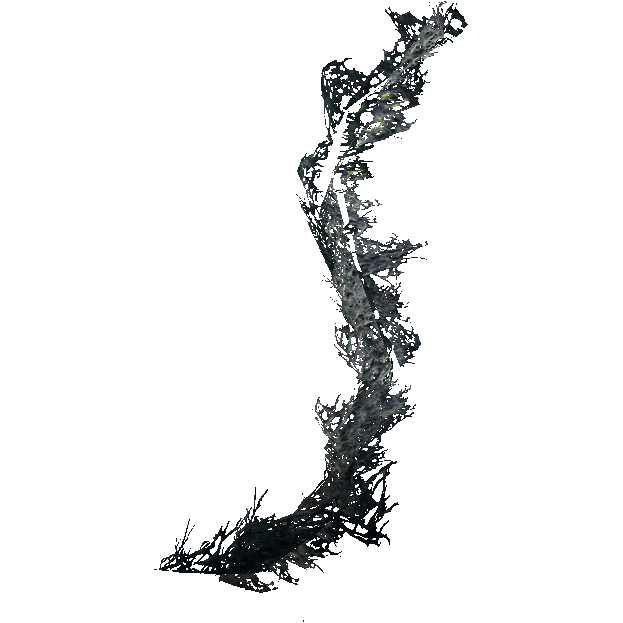 db-icon-ingredient-emperor_parasol_moss.png