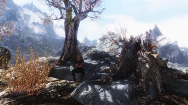 Skyrim (new - 66. Разное)