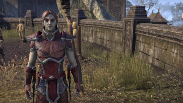 Captain Valec Doronil
