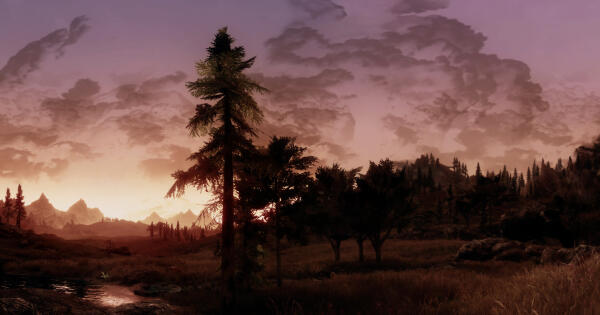 Insomnia CGI