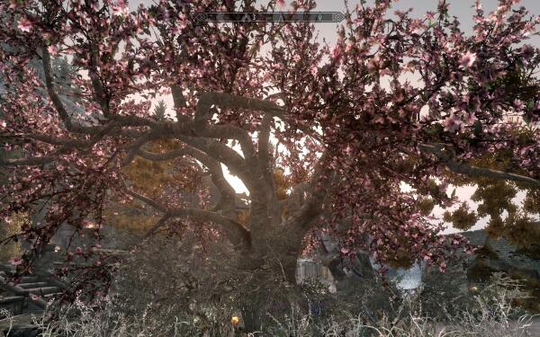 tree