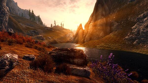 The Skyrim