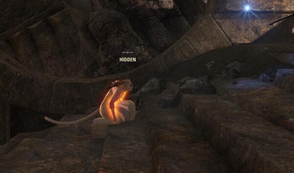 Hidden