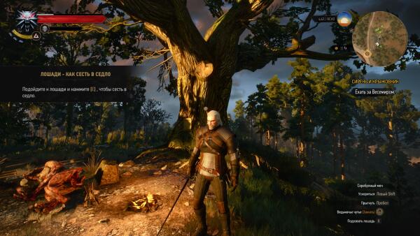 witcher3 - начало
