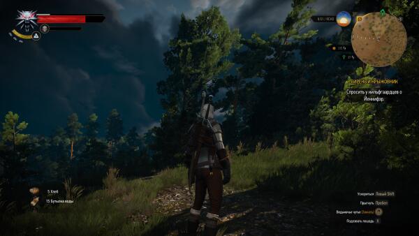 witcher3 - сильный ветер