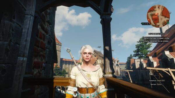 witcher3