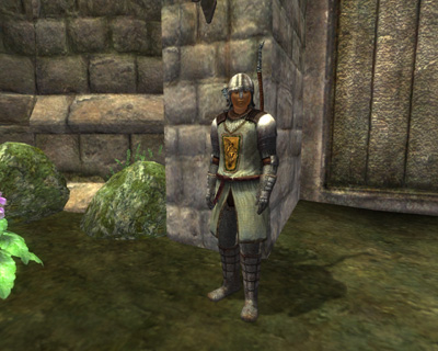 tcoc_bravil_guard.jpg
