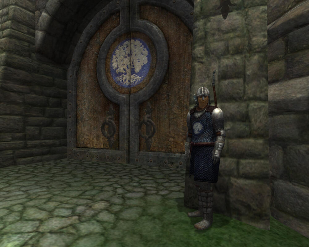 tcoc_chorrol_guard.jpg