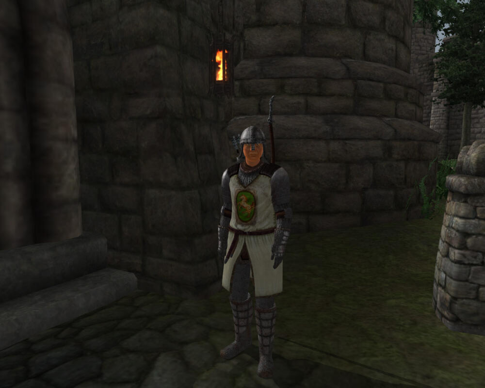 tcoc_leyawiin_guard.jpg