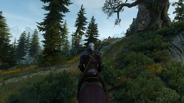 the-witcher-3-wild-hunt-ambient-occlusion-001-nvidia-hbao-plus-640px.jpg