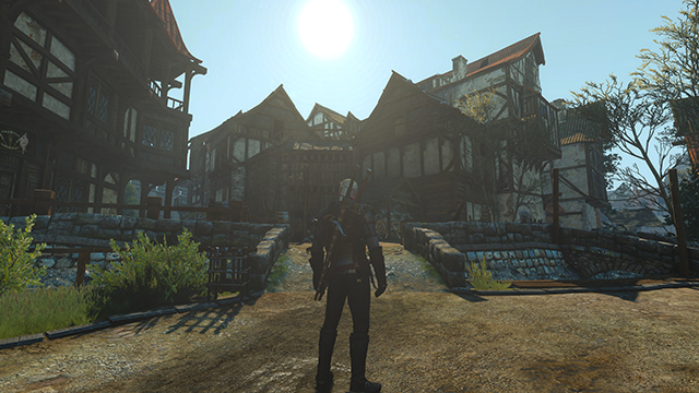 the-witcher-3-wild-hunt-bloom-001-on-640px.jpg