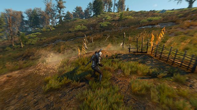 the-witcher-3-wild-hunt-blur-001-on-640px.png