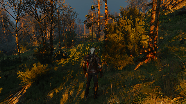 the-witcher-3-wild-hunt-cascadeshadowdistancescale1-config-file-tweak-001-4-640px.jpg
