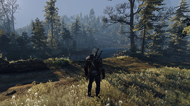the-witcher-3-wild-hunt-cascadeshadowdmapsize-config-file-tweak-001-8192-640px.jpg