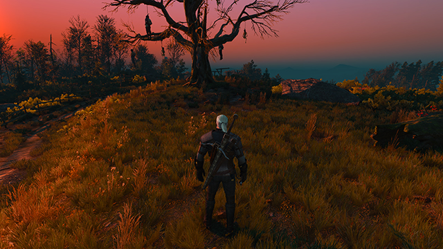 the-witcher-3-wild-hunt-chromatic-aberration-001-on-640px.jpg