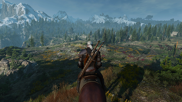 the-witcher-3-wild-hunt-config-file-tweaks-001-on-640px.jpg