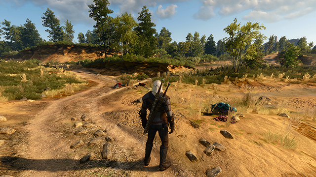 the-witcher-3-wild-hunt-detail-level-001-640px.png