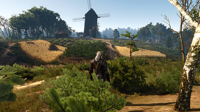 the-witcher-3-wild-hunt-foliage-visibility-range-001-ultra-640px.jpg