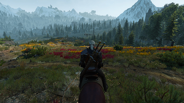 the-witcher-3-wild-hunt-grass-density-001-ultra-640px.jpg