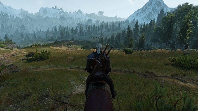 the-witcher-3-wild-hunt-grassdensity-config-file-tweak-001-9600-640px.jpg