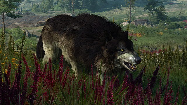 the-witcher-3-wild-hunt-nvidia-hairworks-002-on-640px.jpg