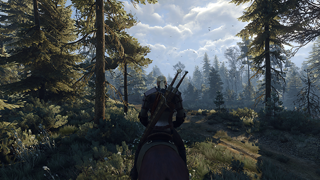 the-witcher-3-wild-hunt-pc-screenshot-001-640px.png